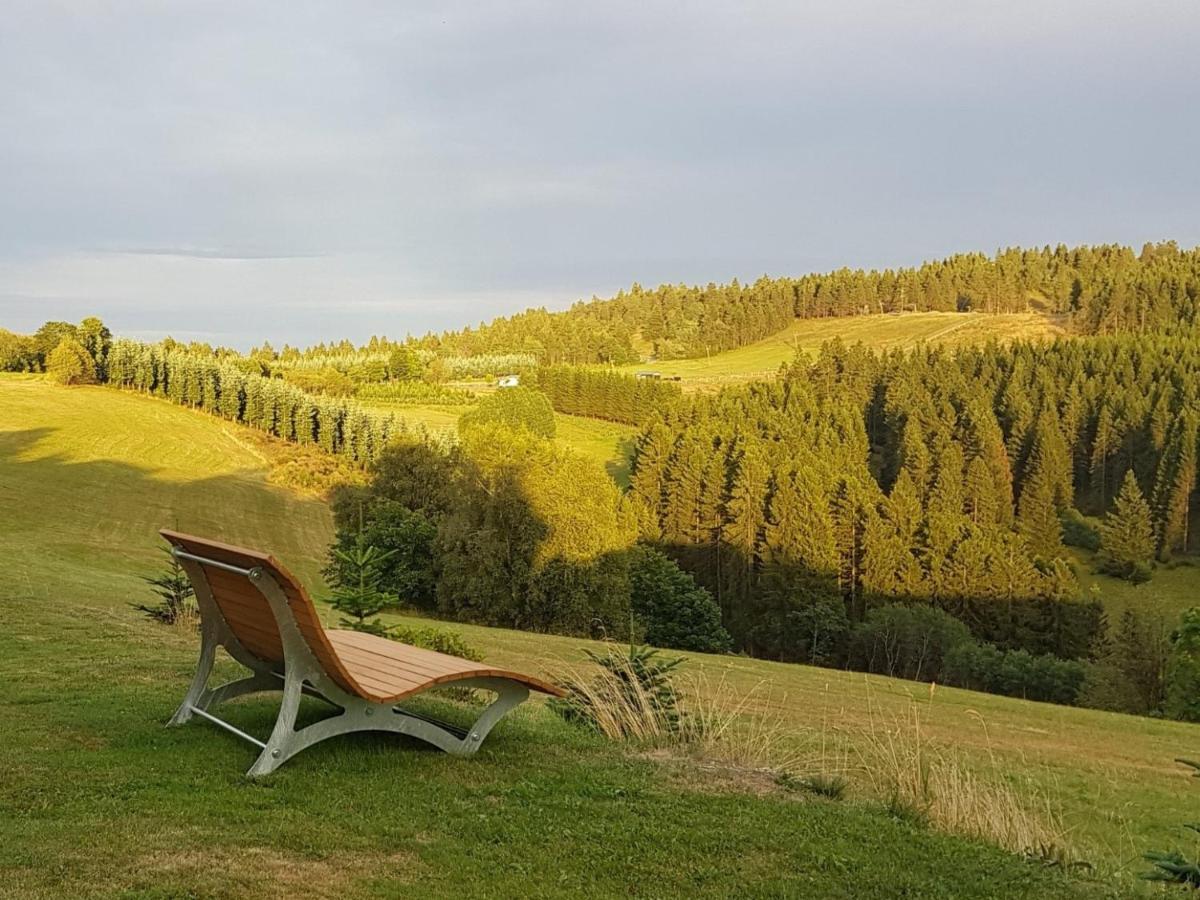 Pension Haus Astenblick Hotel Winterberg Exterior photo